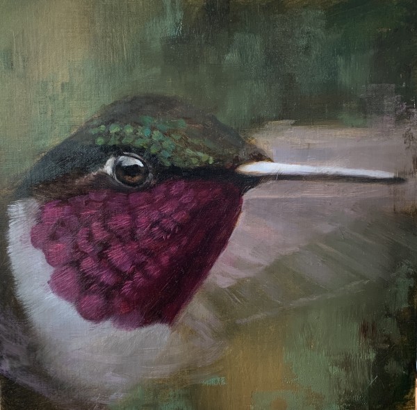 Anna's Hummingbird by Rose Tanner