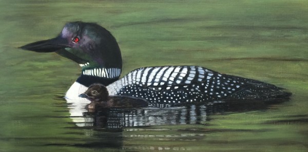 First Day Loons by Rose Tanner