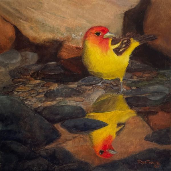 Western Tanager Reflections by Rose Tanner
