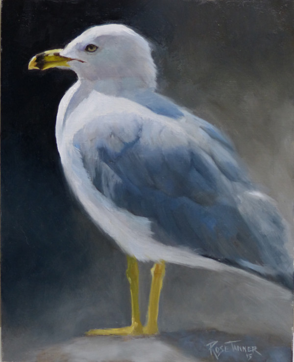 Seagull by Rose Tanner