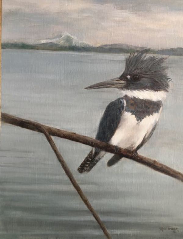 Mr. Kingfisher by Rose Tanner