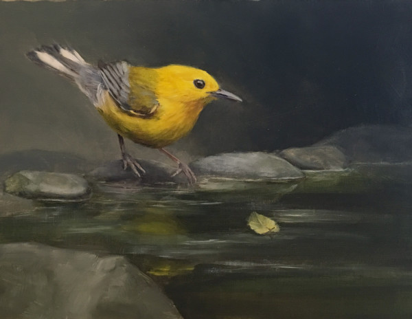 Just a Prothonotary Warbler by Rose Tanner