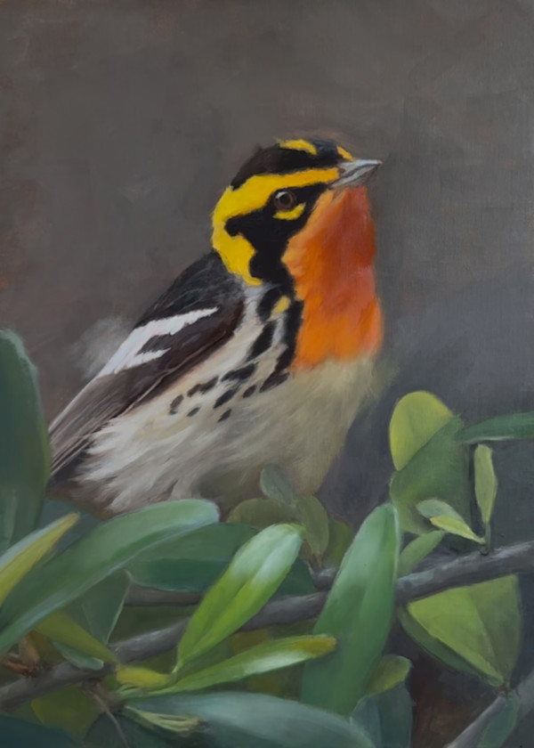 Natures Jewel by Rose Tanner