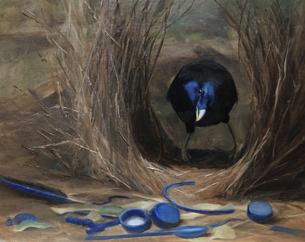 Bowerbird by Rose Tanner