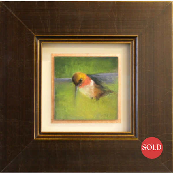 Rufous Feeding by AMANDA HOUSTON, Image 2.