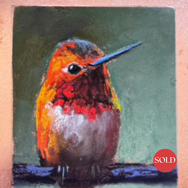 Inquisitive Rufous by AMANDA HOUSTON, Image 2.