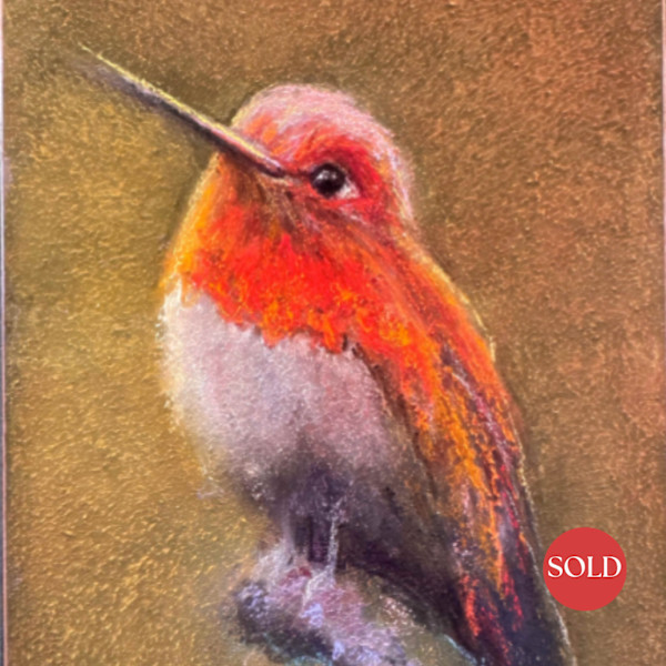 A grateful hummer by AMANDA HOUSTON, Image 2.