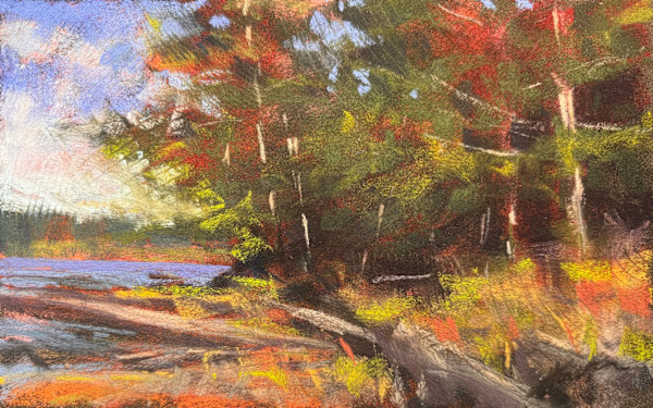 Tree Study by AMANDA HOUSTON, Image 1.