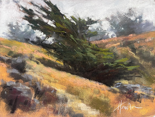 Windswept Tree by AMANDA HOUSTON, Image 1.