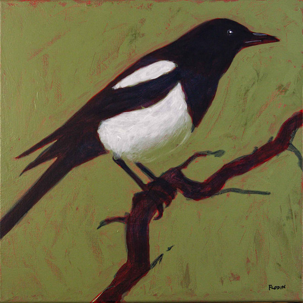 Magpie 1 by Krister Flodin