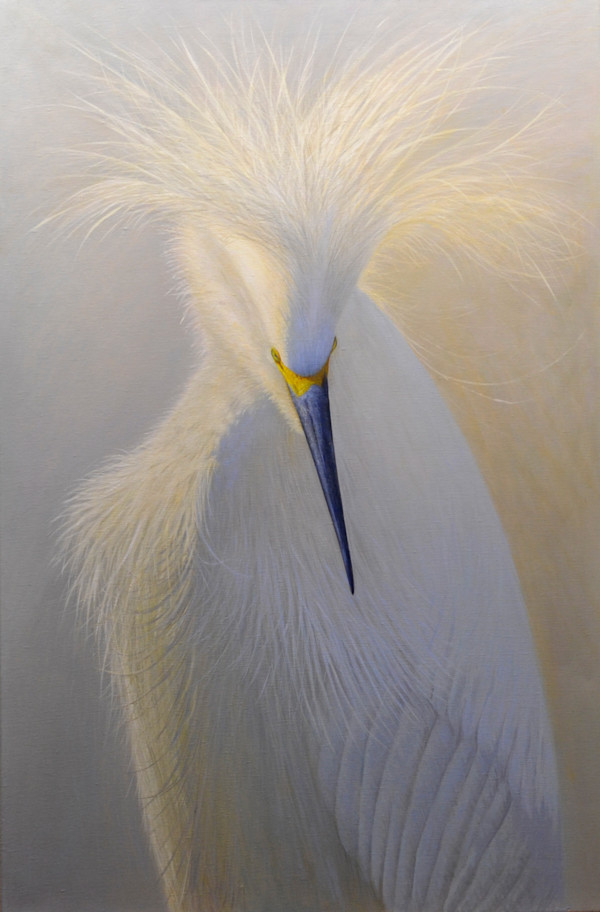 Huntress by Daniel Ambrose