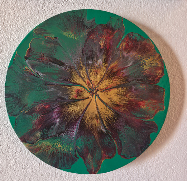 Solanox by Nicole Warnock