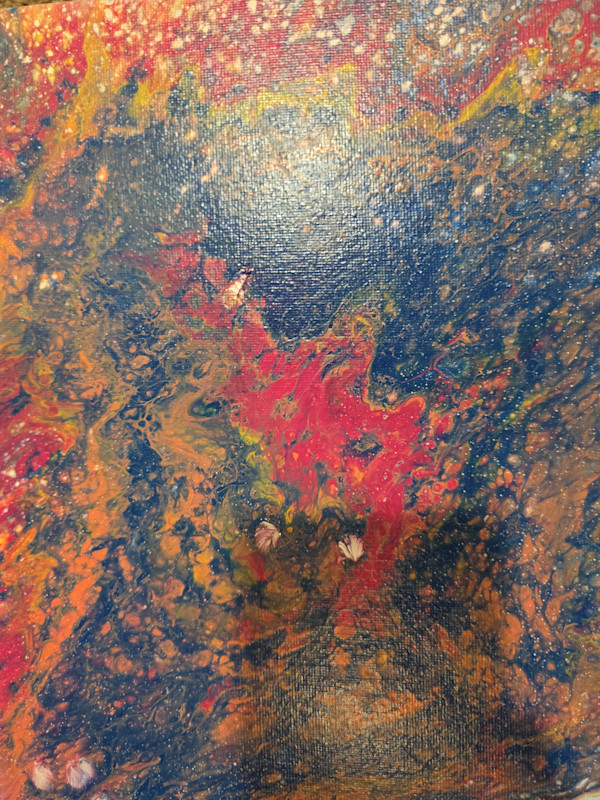 Solar Drift by Nicole Warnock