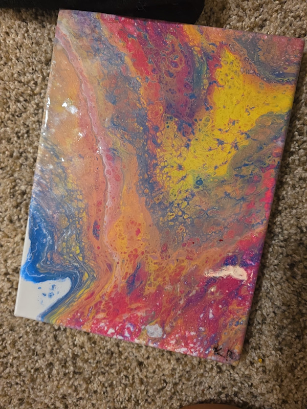 Rainbow Burst by Kyler by Nicole Warnock