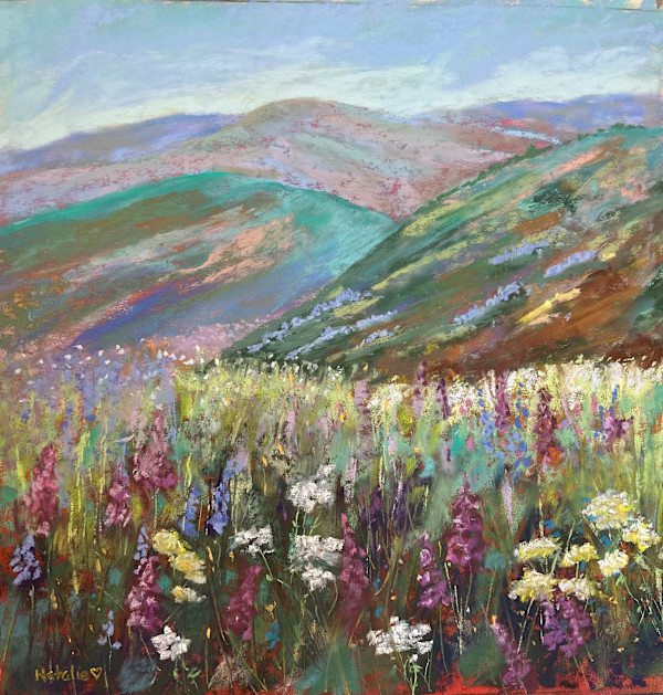 Where the Meadows Rise by Natalie Campbell