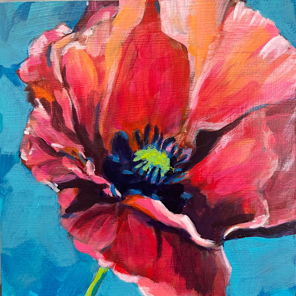 Poppy Pop by Natalie Campbell