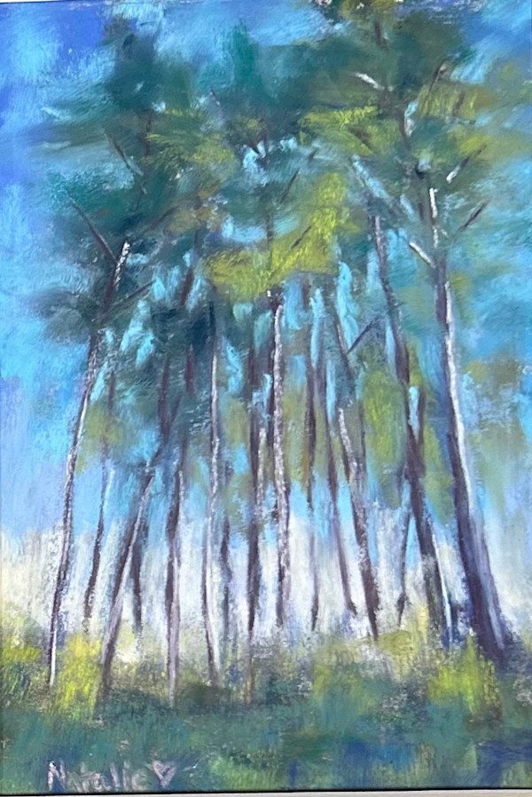 IMG_2257_mrmvfg_18 by Natalie Campbell