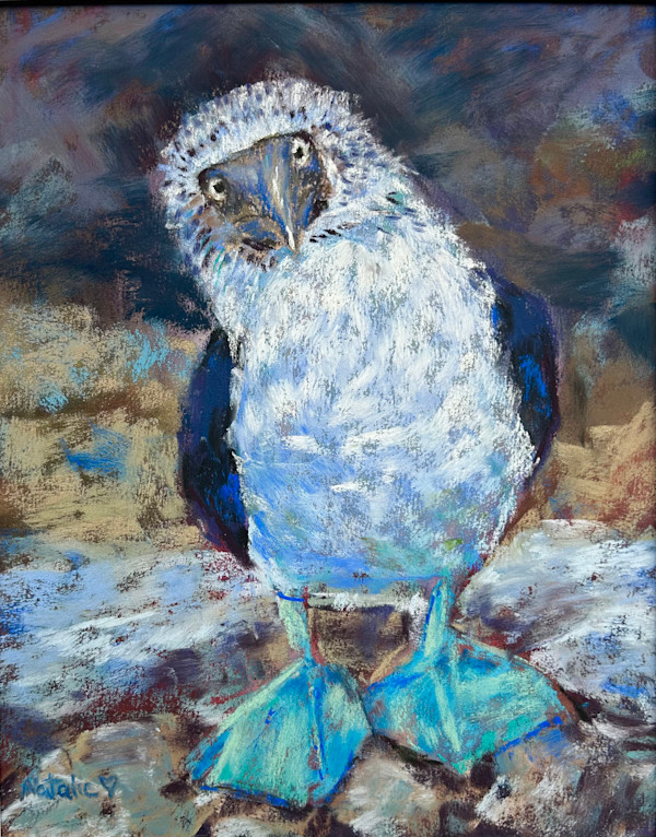 Booby Alert II by Natalie Campbell, Image 16.