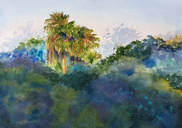 Morning Light, Alamo Heights by Margie Hildreth