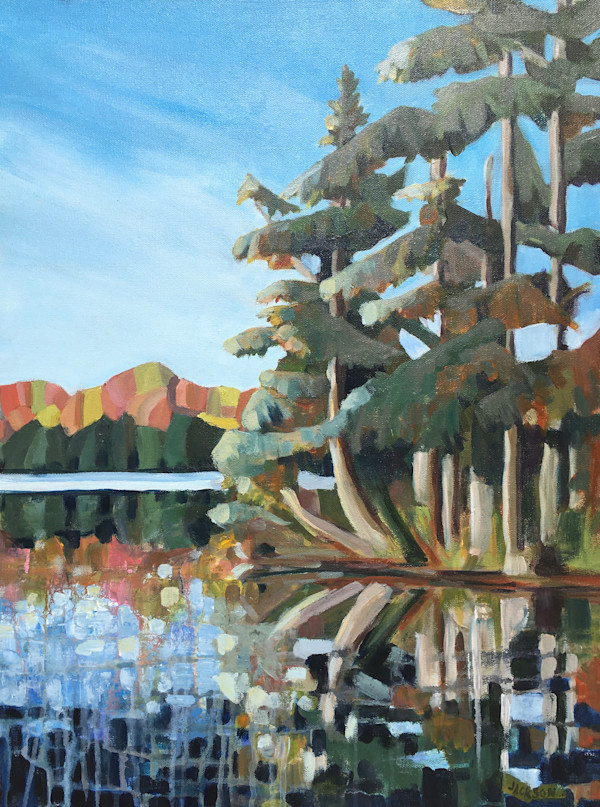 Palmerston Reflections by Liz Jackson