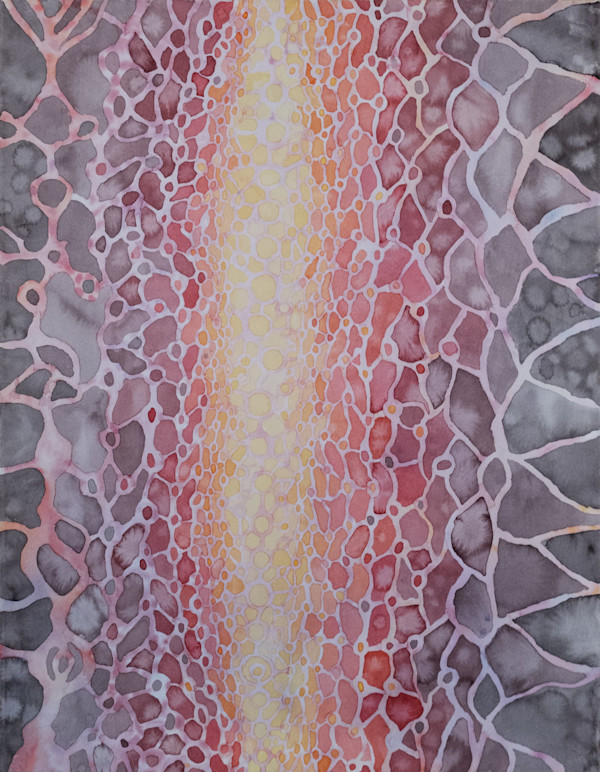 Plinko by Isaiah Brownstein