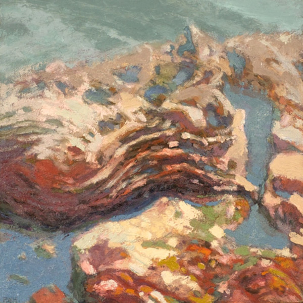 Tidal Zone Series - Pool Details by Fred Hope