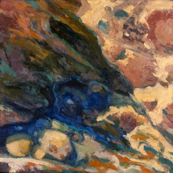 Tidal Zone Series - Close In View by Fred Hope