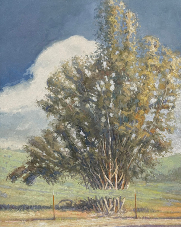 Bike Ride Series - Lift by Fred Hope