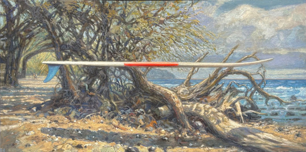 My Board Still Dreams of Puako by Fred Hope