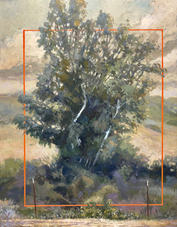 Bike Ride Series - Ghost Tree by Fred Hope