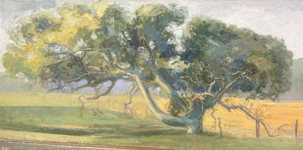 CA Oak series (study) by Fred Hope, Image 1.
