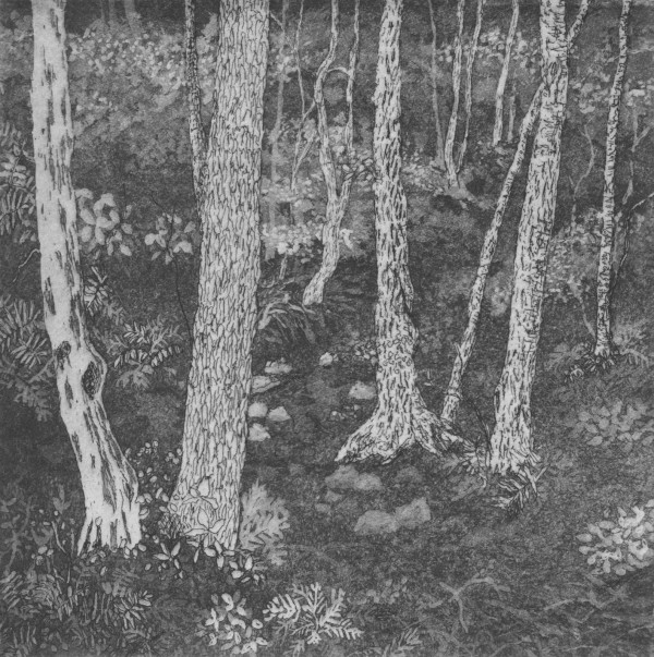 in the woods by stephanie Jane Rampton