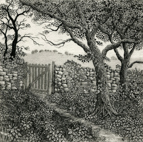through the garden gate by stephanie Jane Rampton