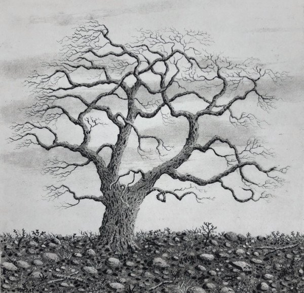 Tree series IV by stephanie Jane Rampton