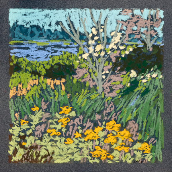 ADK Memories No. 1 by Lisa Hupf, Image 5.