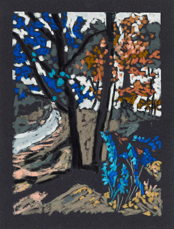 ADK Memories No.4 by Lisa Hupf, Image 8.