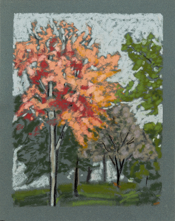 WNY Summer No. 2 by Lisa Hupf, Image 9.