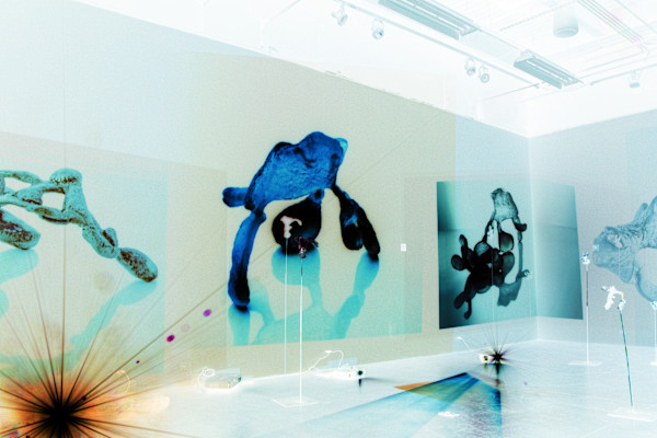 Thermal Cavity Still 3 1/3 by Anna Kovina