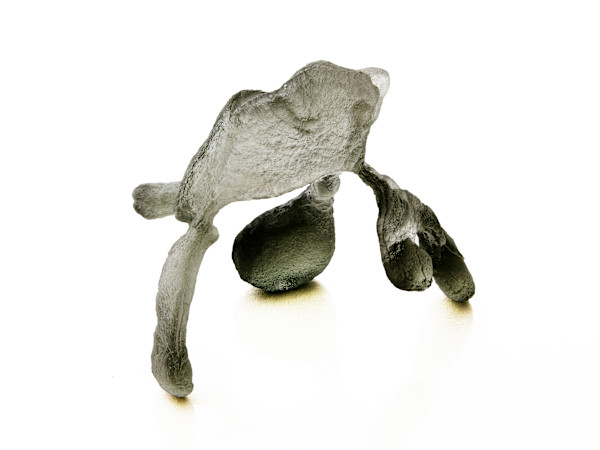 Juggler II 1/7 by Anna Kovina