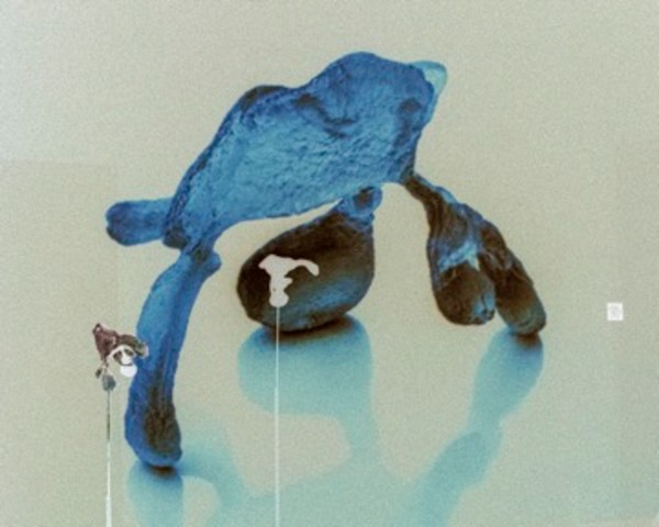 Thermal Cavity Still 4 (color negative, cropped) 1/3 by Anna Kovina