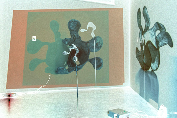 Thermal Cavity Still 3 1/3 by Anna Kovina