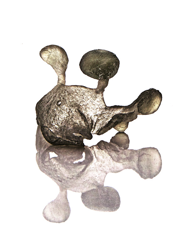 Juggler V 1/7 by Anna Kovina