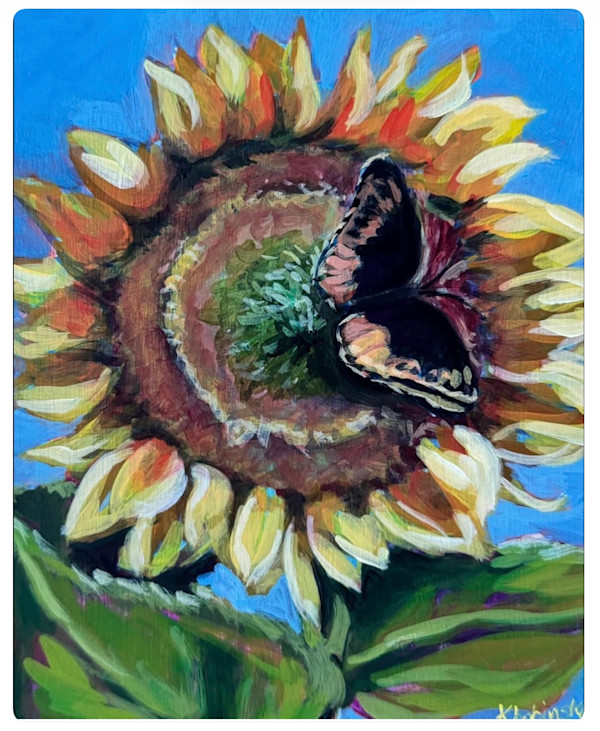 Butterfly at rest by Karen Bobinski, Image 1.