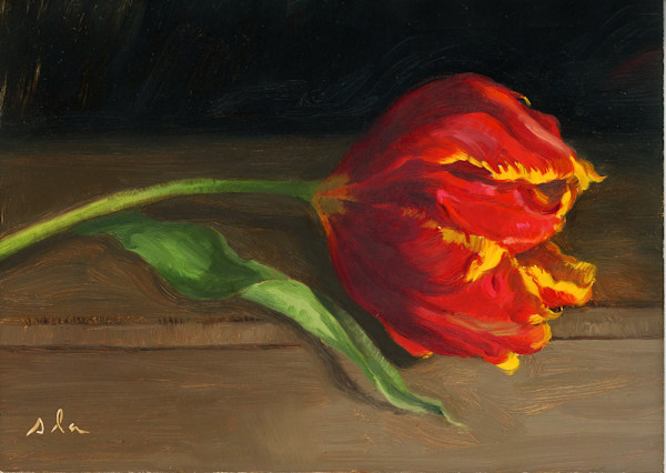 "Rembrandt Tulip" by Suzanne Lago Arthur