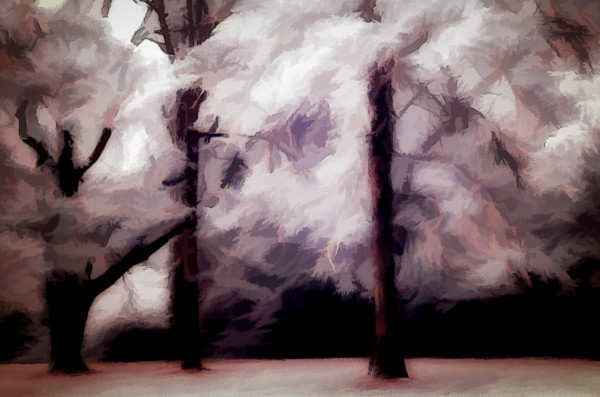 Ballerinas by Linda Devenow