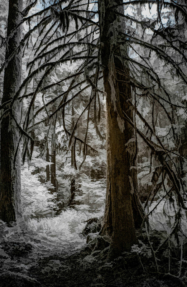 Beware the Witch at the End of the Trail by Linda Devenow, Image 1.