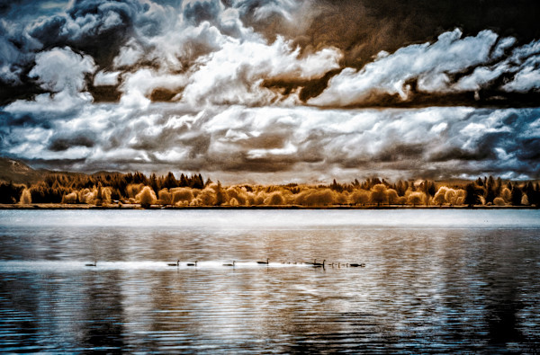 Fern Ridge Pastoral #1 by Linda Devenow