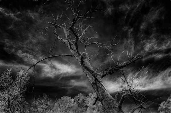 Stormy Weather by Linda Devenow