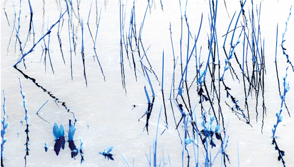 Abstract Reflection by Linda Devenow, Image 1.