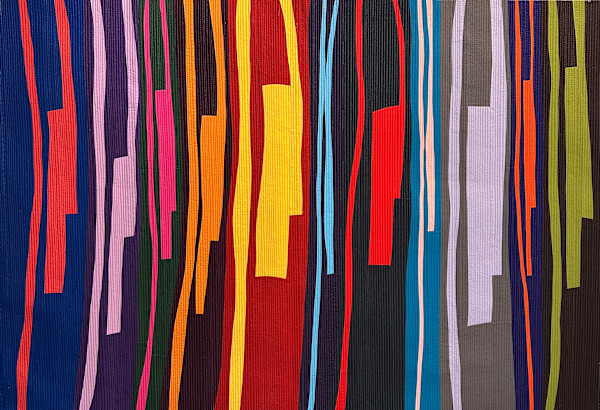 Polychrome Flow by Barbara Danzi